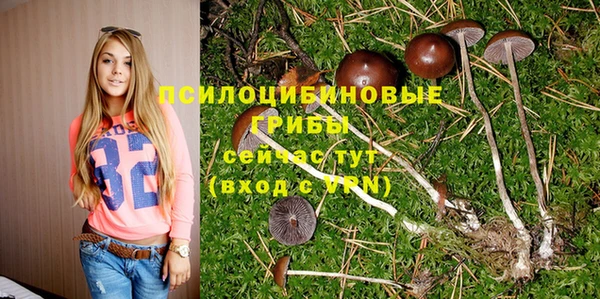 бутират Волосово