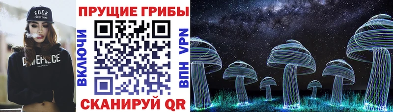 Псилоцибиновые грибы GOLDEN TEACHER  Волжский 